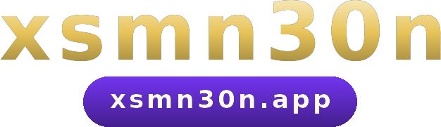 xsmn30n logo